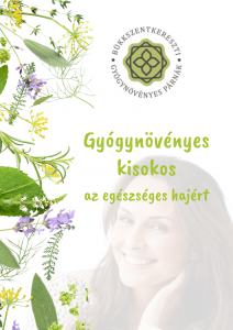 Gyógynövényes kisokos az egészséges hajért