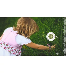 Áprilisban indul be igazán a gyógynövénygyűjtés