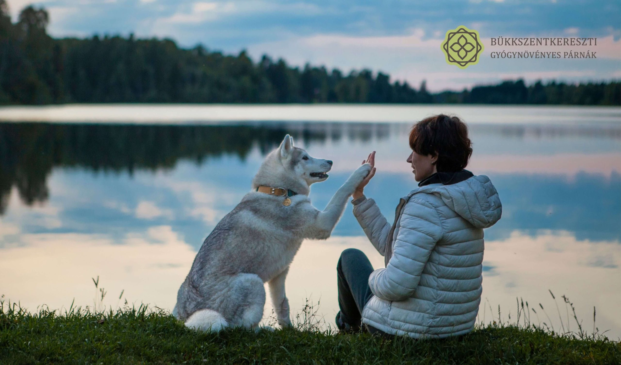 Ha a kutya allergia nem szab gátat a kirándulásnak, érdemes minél több időt a természetben tölteni.