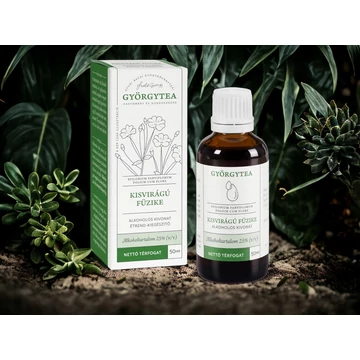 Kisvirágú füzike alkoholos kivonat