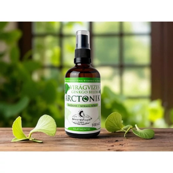 Virágvizes gingko biloba arctonik
